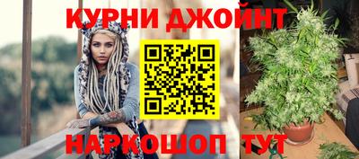 a pvp Новокубанск